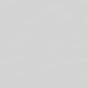 Gris - Liso